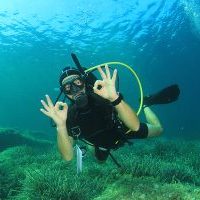 diving in sharm (4) 11
